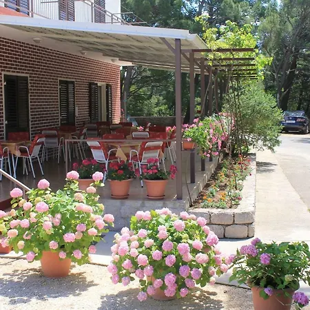 Lejlighed Popo Starigrad Paklenica